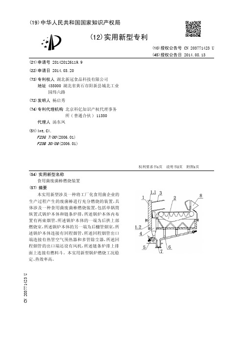 食用菌废菌棒燃烧装置[实用新型专利]