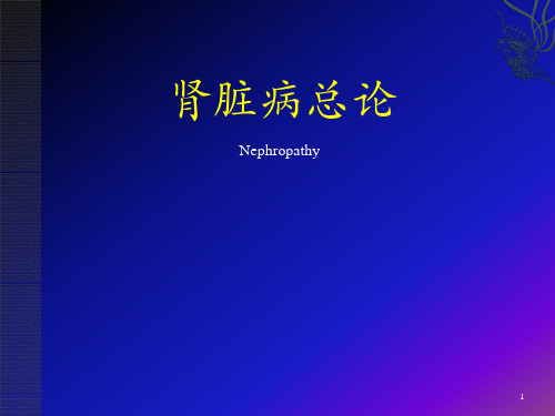 肾内科见习课件-肾脏病总论