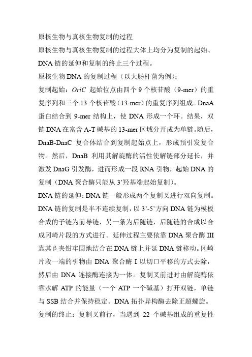 DNA复制过程有哪些特点