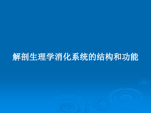 解剖生理学消化系统的结构和功能PPT教案