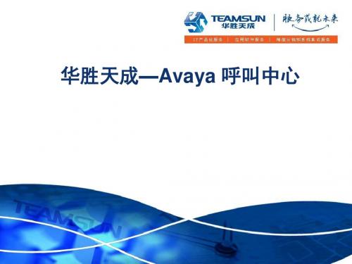 Avaya全套呼叫中心解决的方案-文档资料