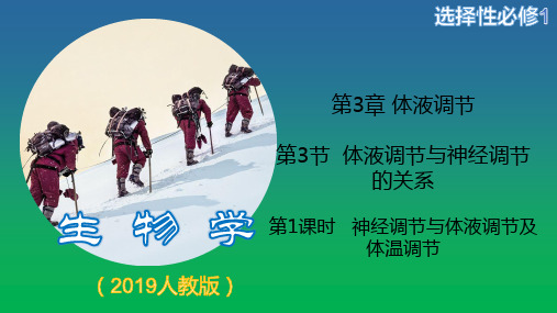 3.3.1神经调节与体液调节关系课件 高二上学期生物人教版(2019)选择性必修1