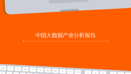 中国大数据产业分析报告