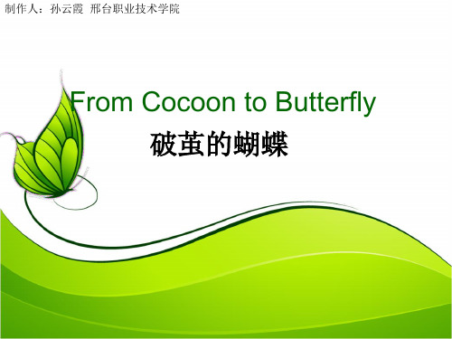 英文启智故事：破茧的蝴蝶-from_cocoon_to_butterfly