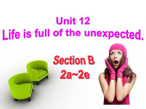 2014九年级英语Unit_12_Life_is_full_of_the_unexpected._Section_B_1a-1e