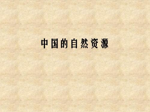 中国的自然资源
