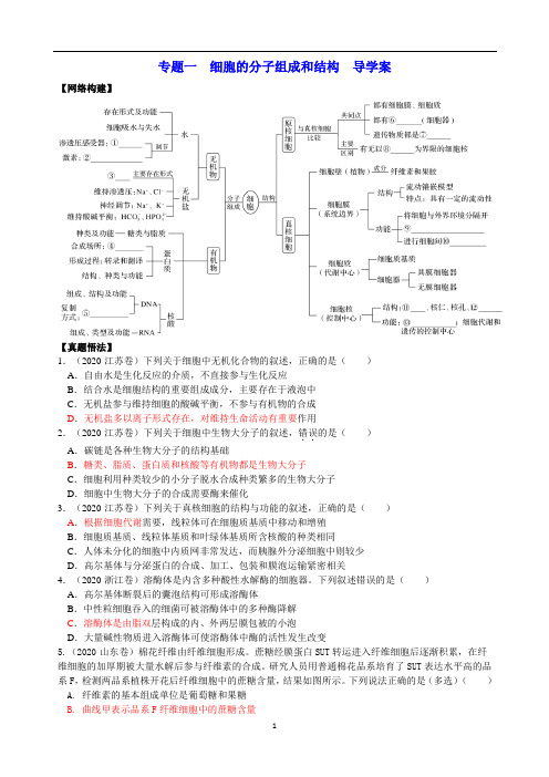 【高考生物】高三二轮导学案 专题一  细胞的分子组成和结构