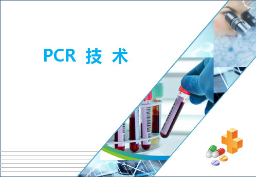 分子生物技术—PCR技术