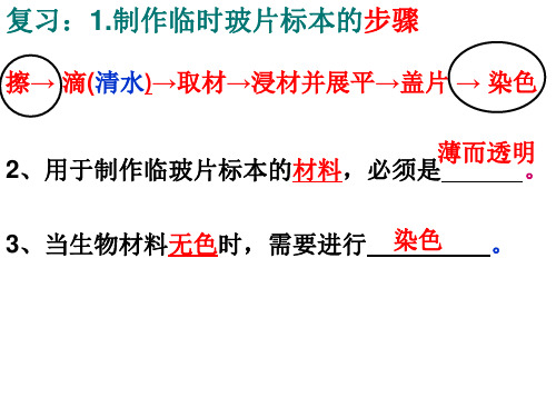 苏教版初中生物七年级上册 1.2.2 探索生命的方法 课件(共29张PPT)