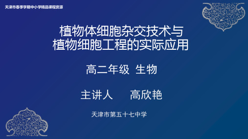 12  高欣艳  天津市第五十七中学  植物体细胞杂交与植物细胞工程的实际应用