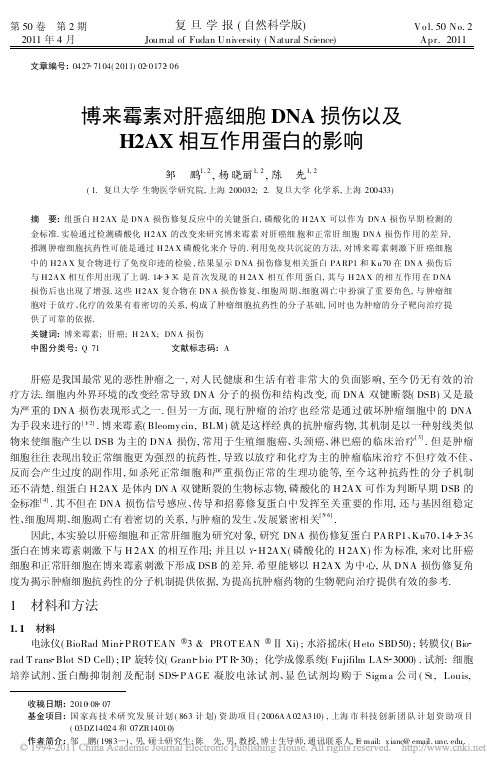 博来霉素对肝癌细胞DNA损伤以及H2AX相互作用蛋白的影响