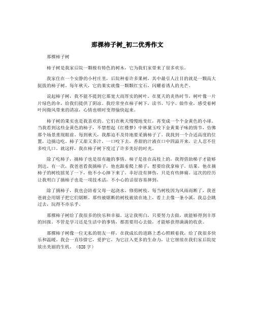 那棵柿子树_初二优秀作文