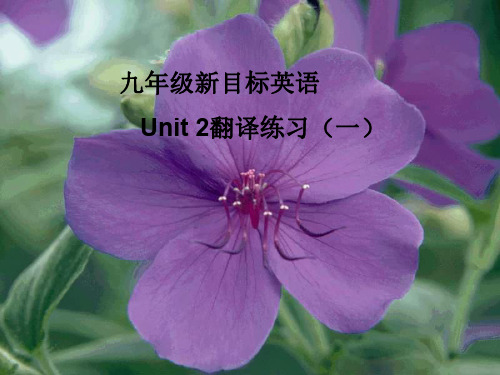 u2翻译答案-(www.)