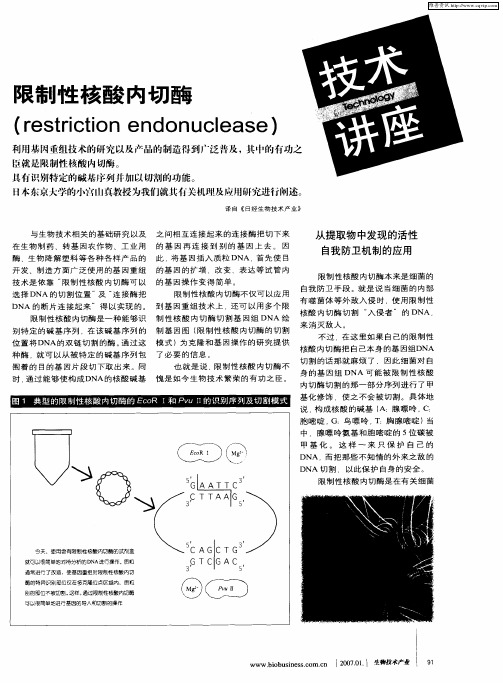 限制性核酸内切酶(restrictionendonuclease)