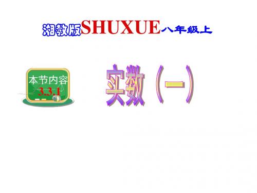 湘教版八年级数学上册 3.3.1实数(1)