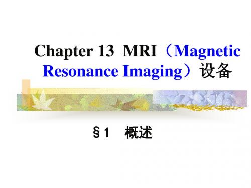 MRI-1-概述_PPT课件