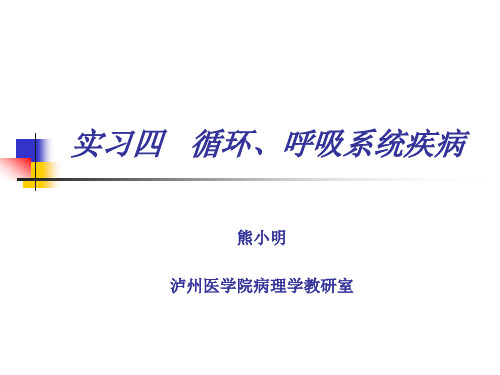 实习四 循环、呼吸系统疾病