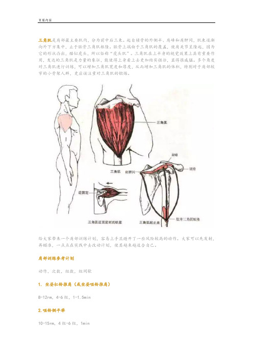 三角肌是肩部最主要肌肉,分为前中后三束。起自锁骨的外侧半、肩峰和肩胛冈,肌束逐渐向外下方集中,止于肱