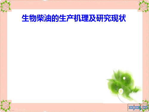 生物柴油ppt