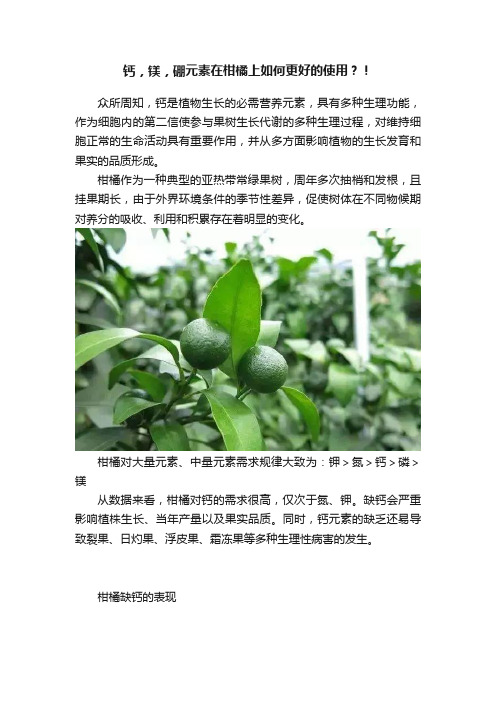 ?钙，镁，硼元素在柑橘上如何更好的使用？！