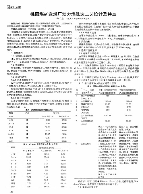 桃园煤矿选煤厂动力煤洗选工艺设计及特点