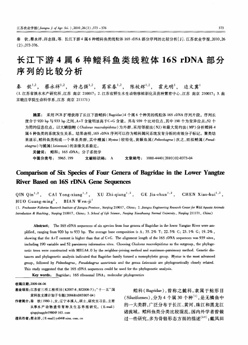 长江下游4属6种鲿科鱼类线粒体16S rDNA部分序列的比较分析