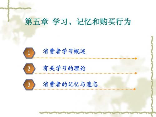 第五章 学习、记忆和购买行为