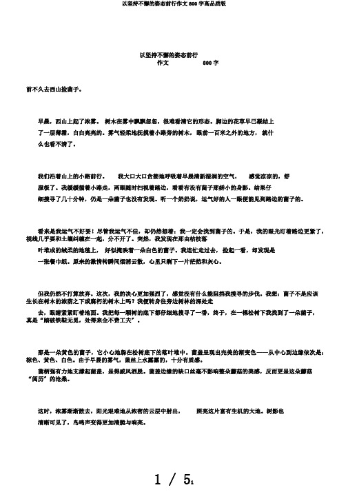 以坚持不懈的姿态前行作文800字高品质版