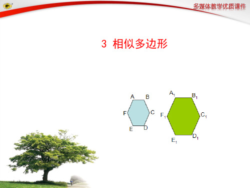 2014最新北师大版九年级课件3 相似多边形