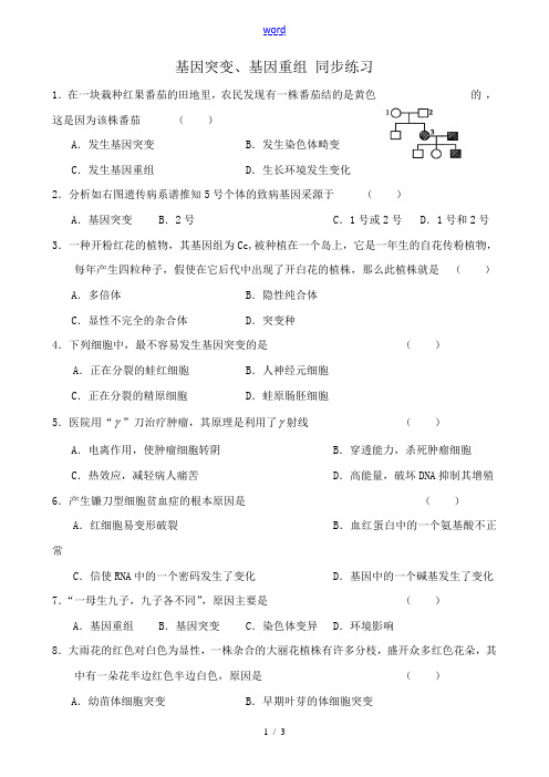 新人教版高中生物必修2基因突变、基因重组 同步练习