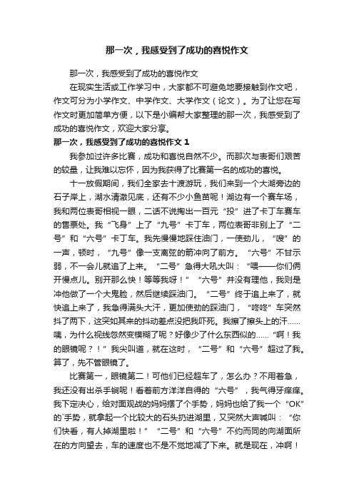 那一次，我感受到了成功的喜悦作文