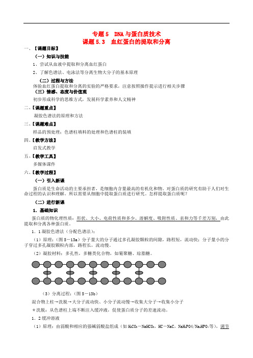 【人教版】生物选修一：5.3《血红蛋白的提取和分离》教案设计