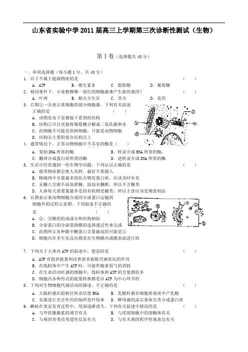 山东省实验中学2011届高三上学期第三次诊断性测试(生物)