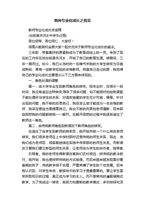 教师专业化成长之我见