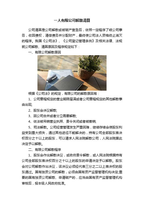 一人有限公司解散清算