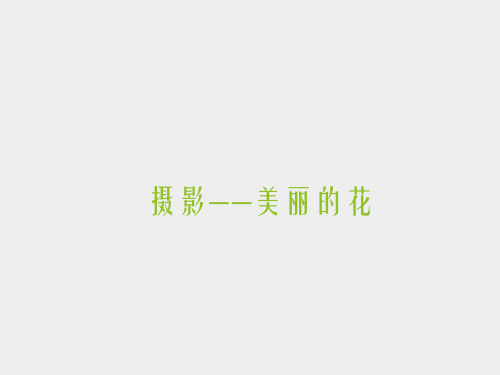 人民美术出版社北京科学研究院小学五年级美术下册摄影——美丽的花_课件1