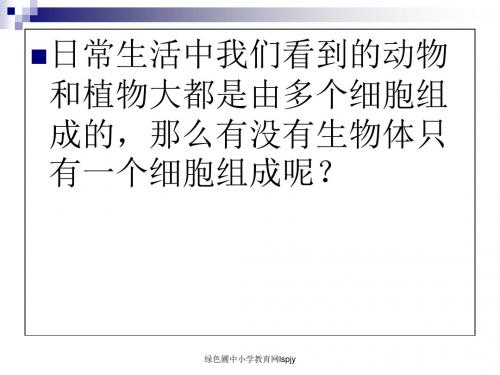 人教版七年级初一册生物只有一个细胞的生物体PPT课