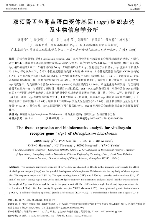 双须骨舌鱼卵黄蛋白受体基因(vtgr)组织表达及生物信息学分析