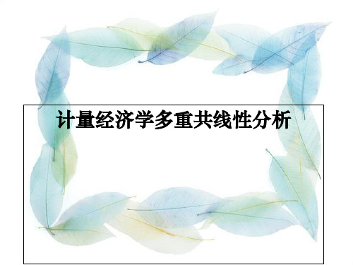 计量经济学多重共线性分析-文档资料