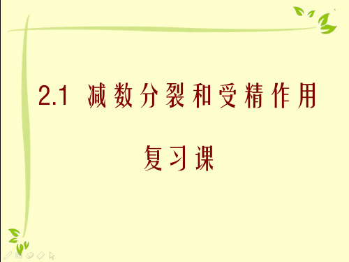 2.1减数分裂  复习课