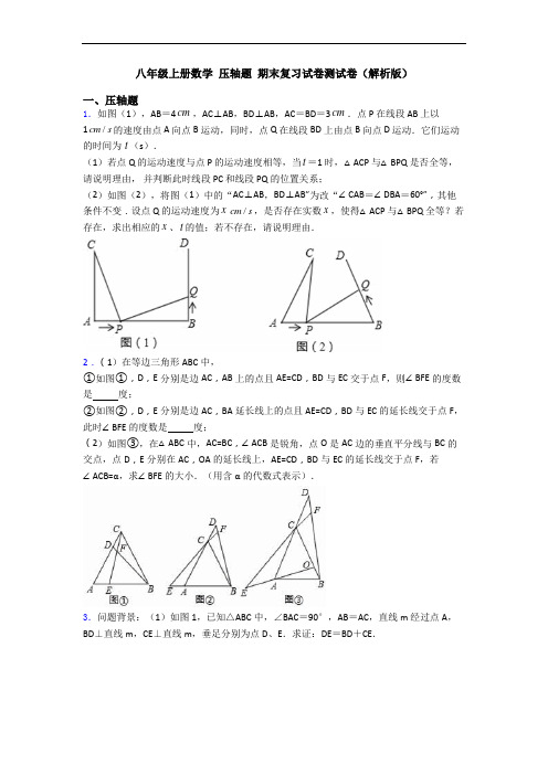 八年级上册数学 压轴题 期末复习试卷测试卷(解析版)