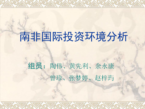 罗氏等级评分法分析南非投资环境共37页