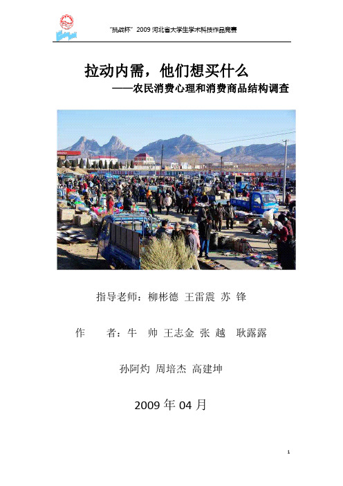 挑战杯社科类获奖作品——拉动内需,他们想买什么