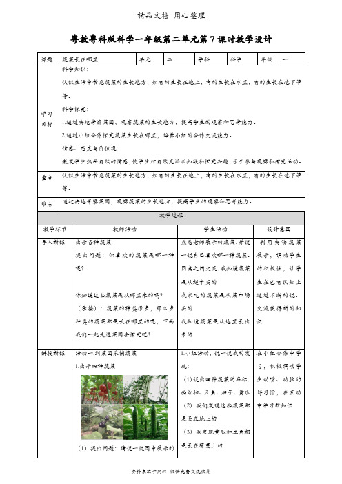 (新教材)粤教粤科版一年级上册科学 第7课 蔬菜长在哪里 教案(教学设计)