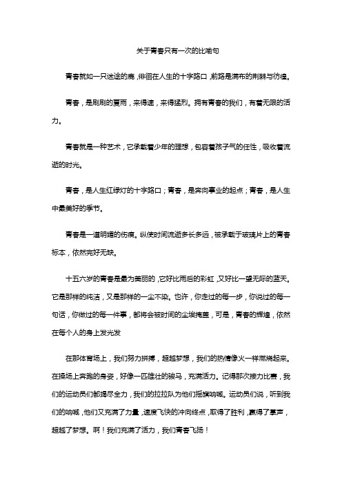 关于青春只有一次的比喻句