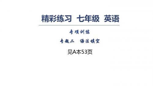 七年级英语上册习题：专项训练 专题二 语法填空