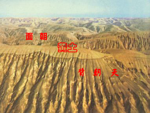 北方地区——黄土高原地区