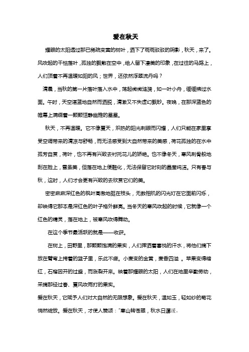 爱在秋天