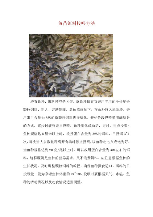 鱼苗饵料投喂方法