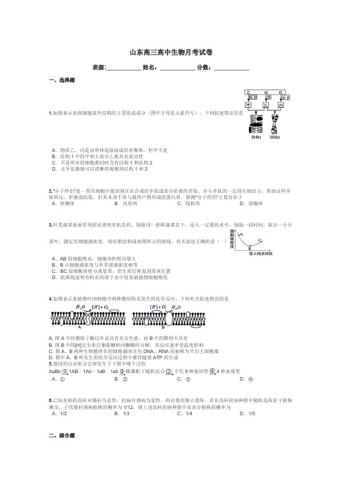 山东高三高中生物月考试卷带答案解析
